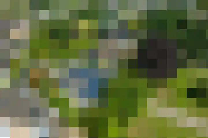 Alsemveld 2 Doetinchem thumbnail 78