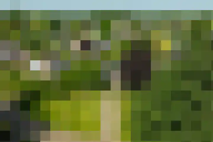 Alsemveld 2 Doetinchem thumbnail 79