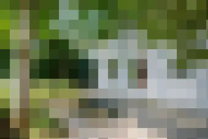 Alsemveld 2 Doetinchem thumbnail 8
