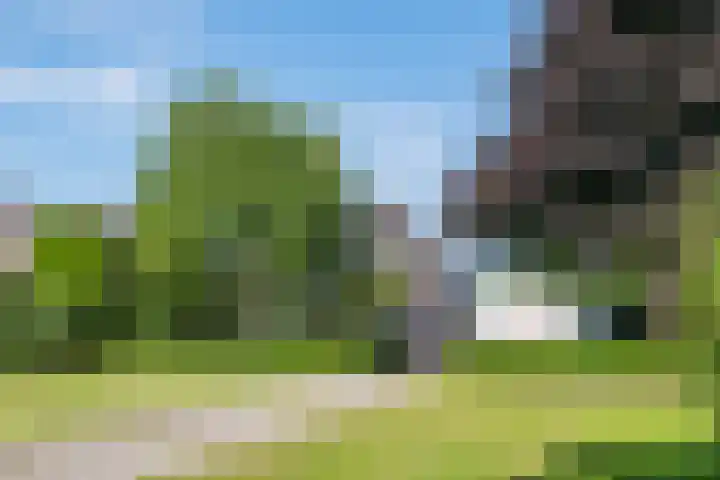 Alsemveld 2 Doetinchem thumbnail 81