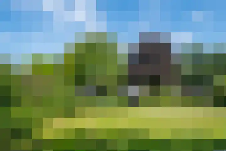 Alsemveld 2 Doetinchem thumbnail 83