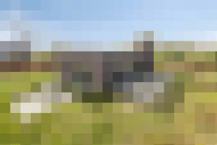Alst 1 c Ewijk thumbnail 26