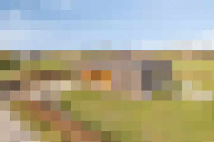 Alst 1 c Ewijk thumbnail 28