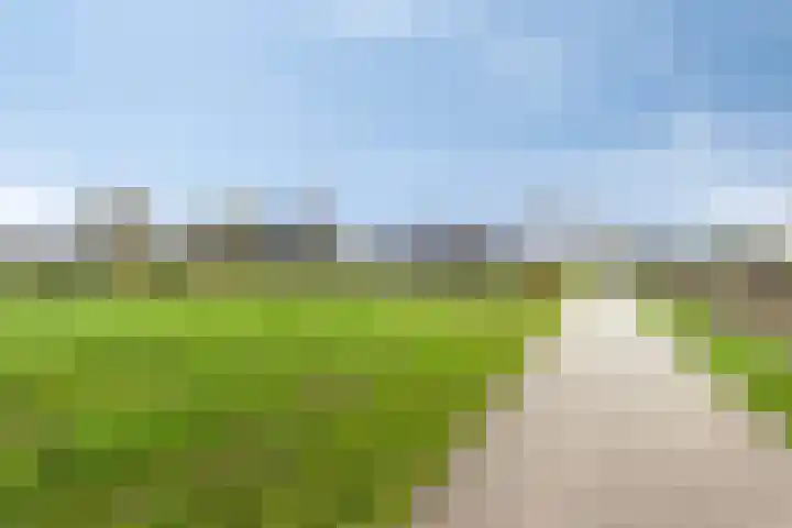 Alst 1 c Ewijk thumbnail 31