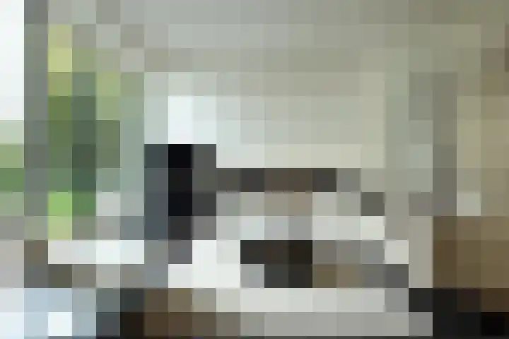 Alst 1 c Ewijk thumbnail 4