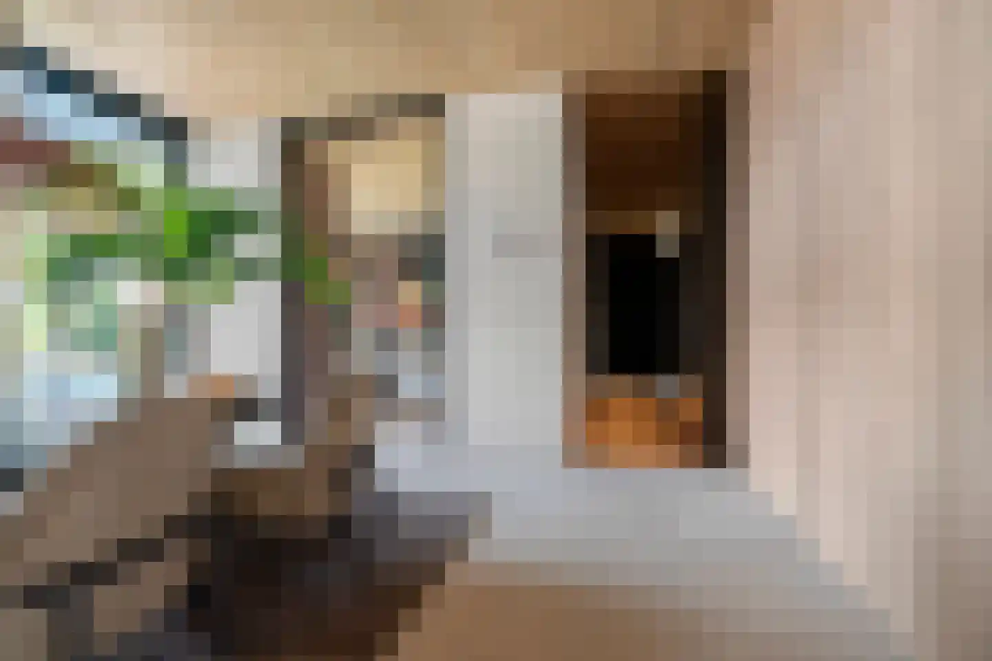 Alst 1 d Ewijk thumbnail 10
