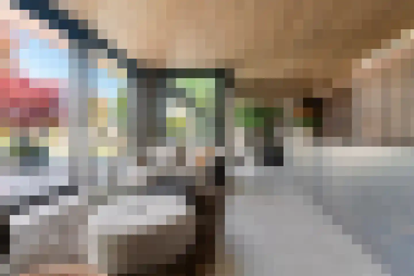 Alst 1 d Ewijk thumbnail 12