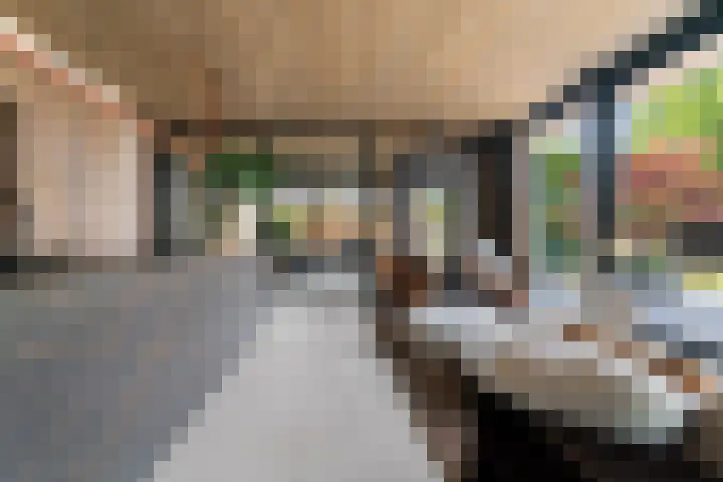 Alst 1 d Ewijk thumbnail 14