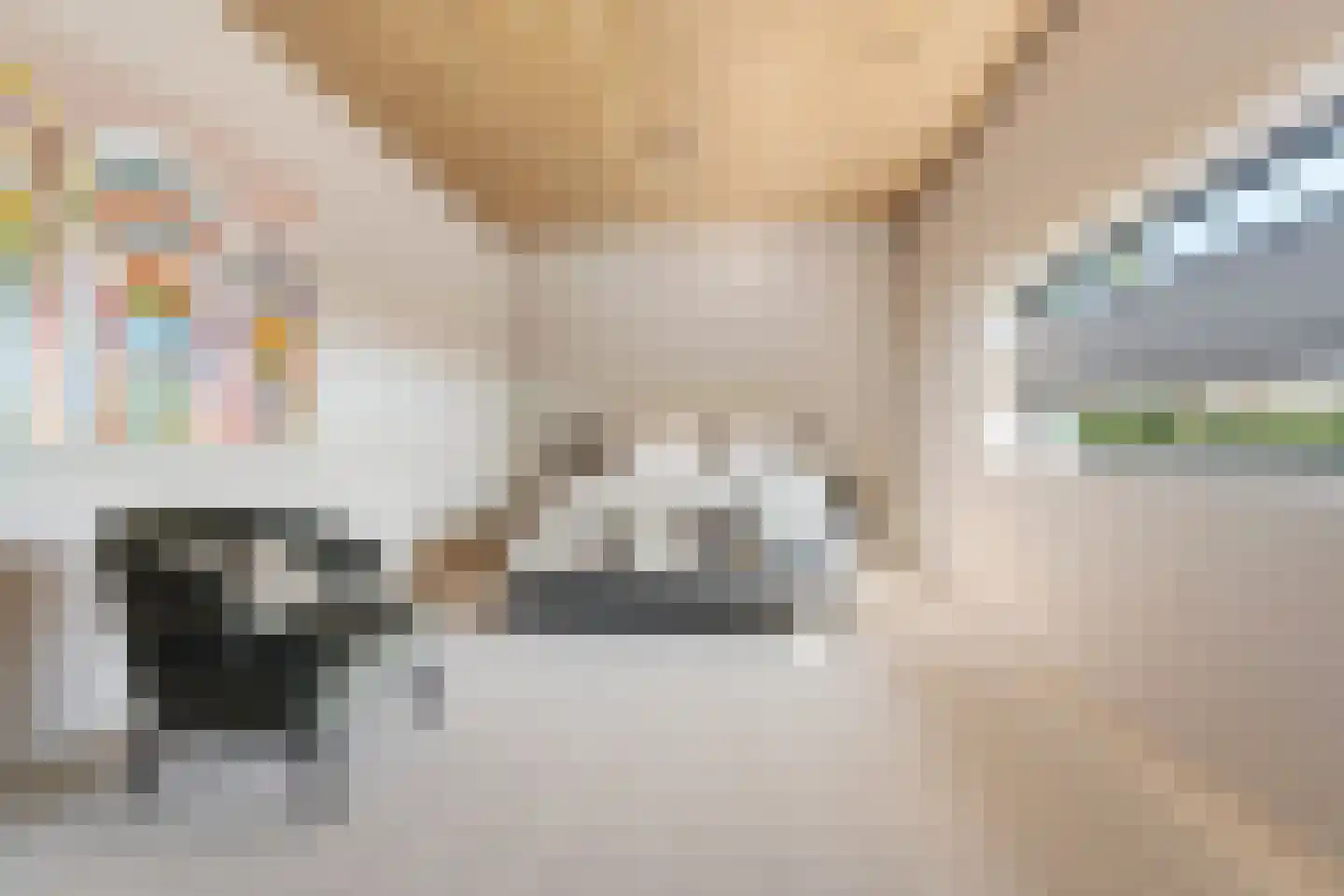 Alst 1 d Ewijk thumbnail 18