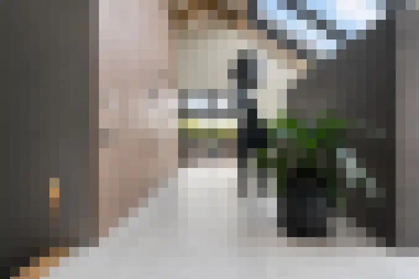 Alst 1 d Ewijk thumbnail 23