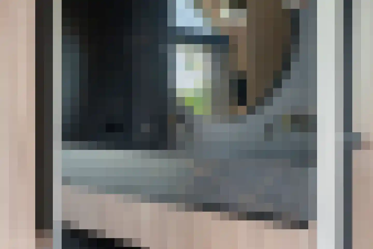 Alst 1 d Ewijk thumbnail 29