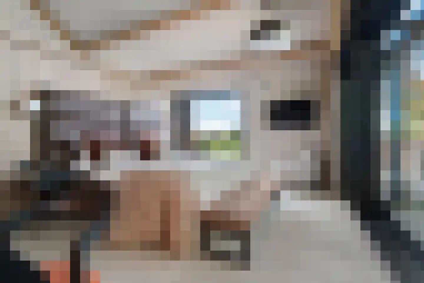 Alst 1 d Ewijk thumbnail 30