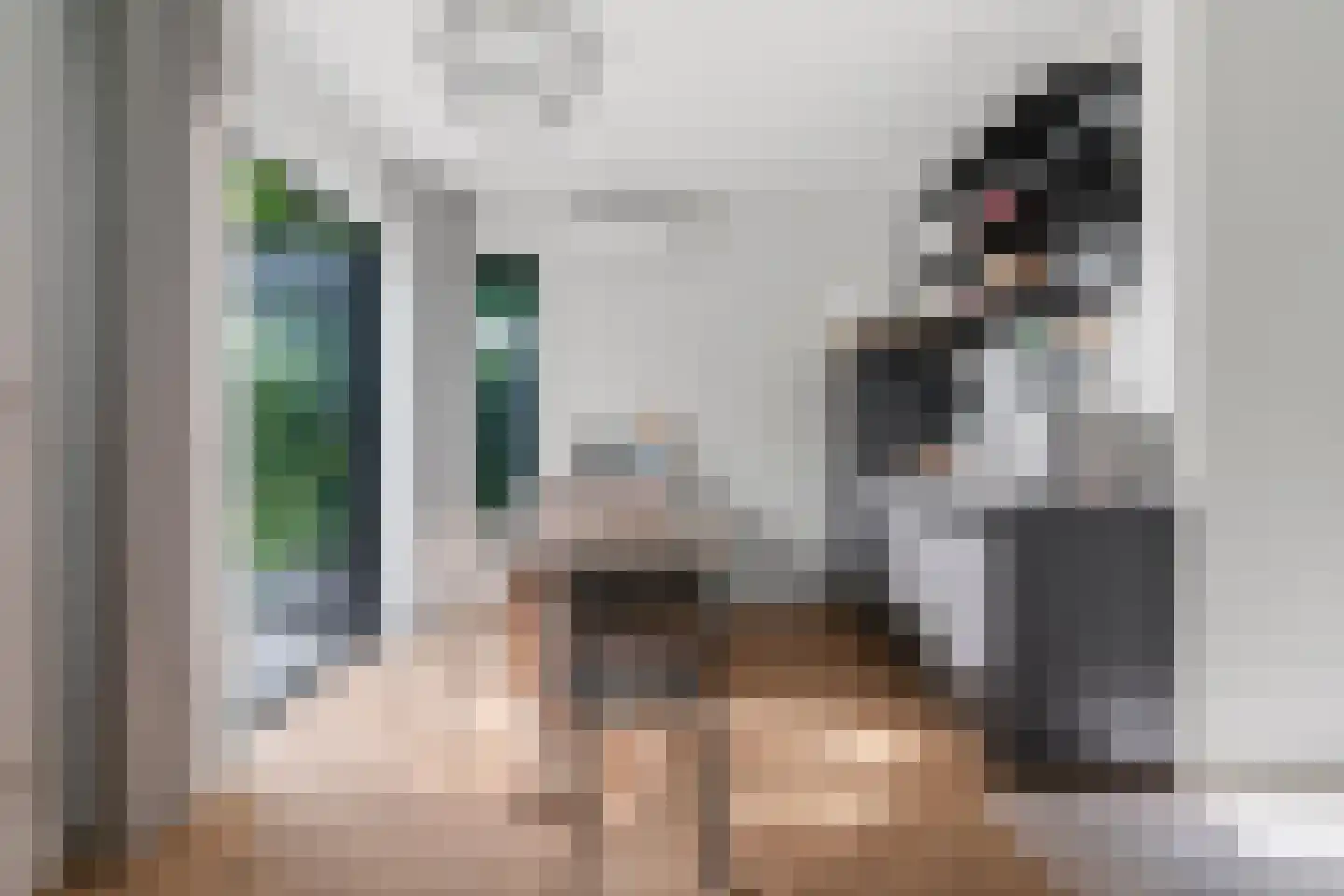 Alst 1 d Ewijk thumbnail 41
