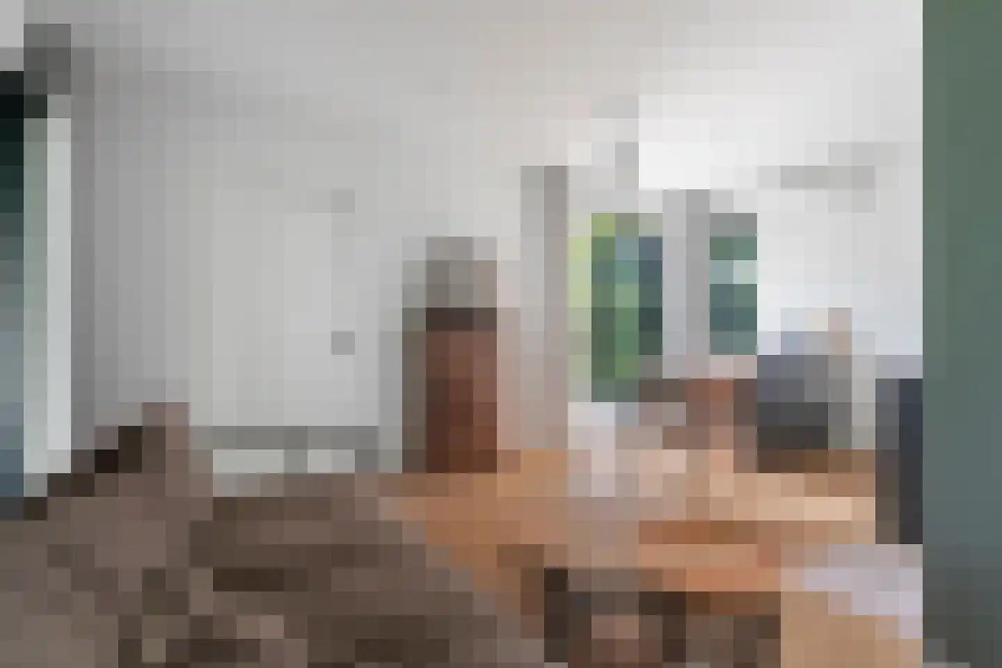 Alst 1 d Ewijk thumbnail 42