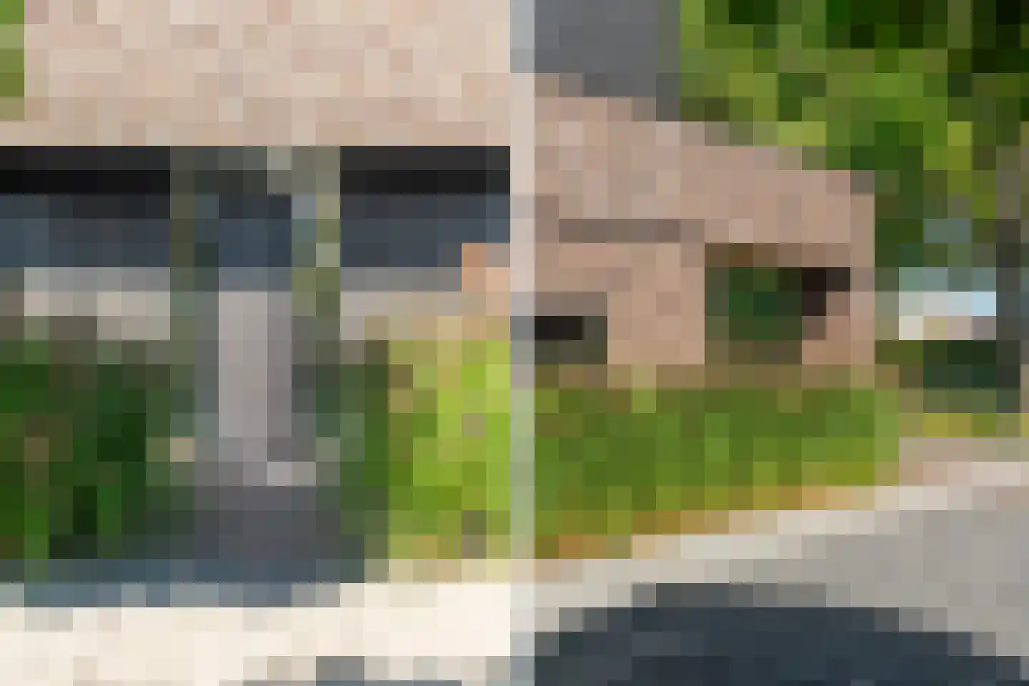 Alst 1 d Ewijk thumbnail 7