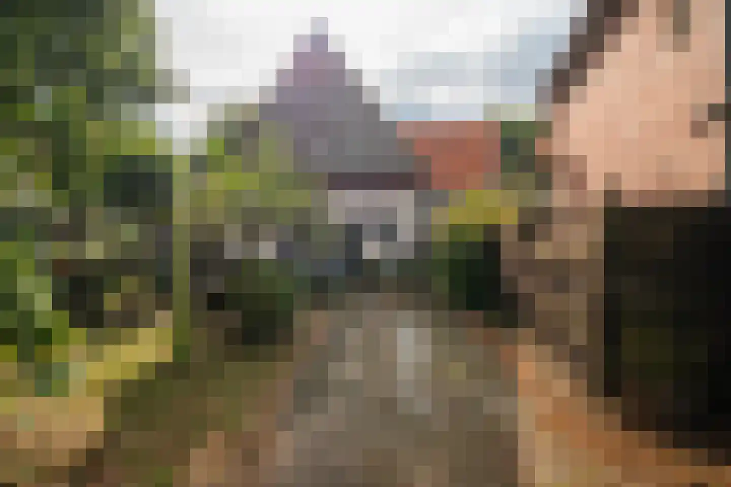 Alsteedseweg 12 Haaksbergen thumbnail 44