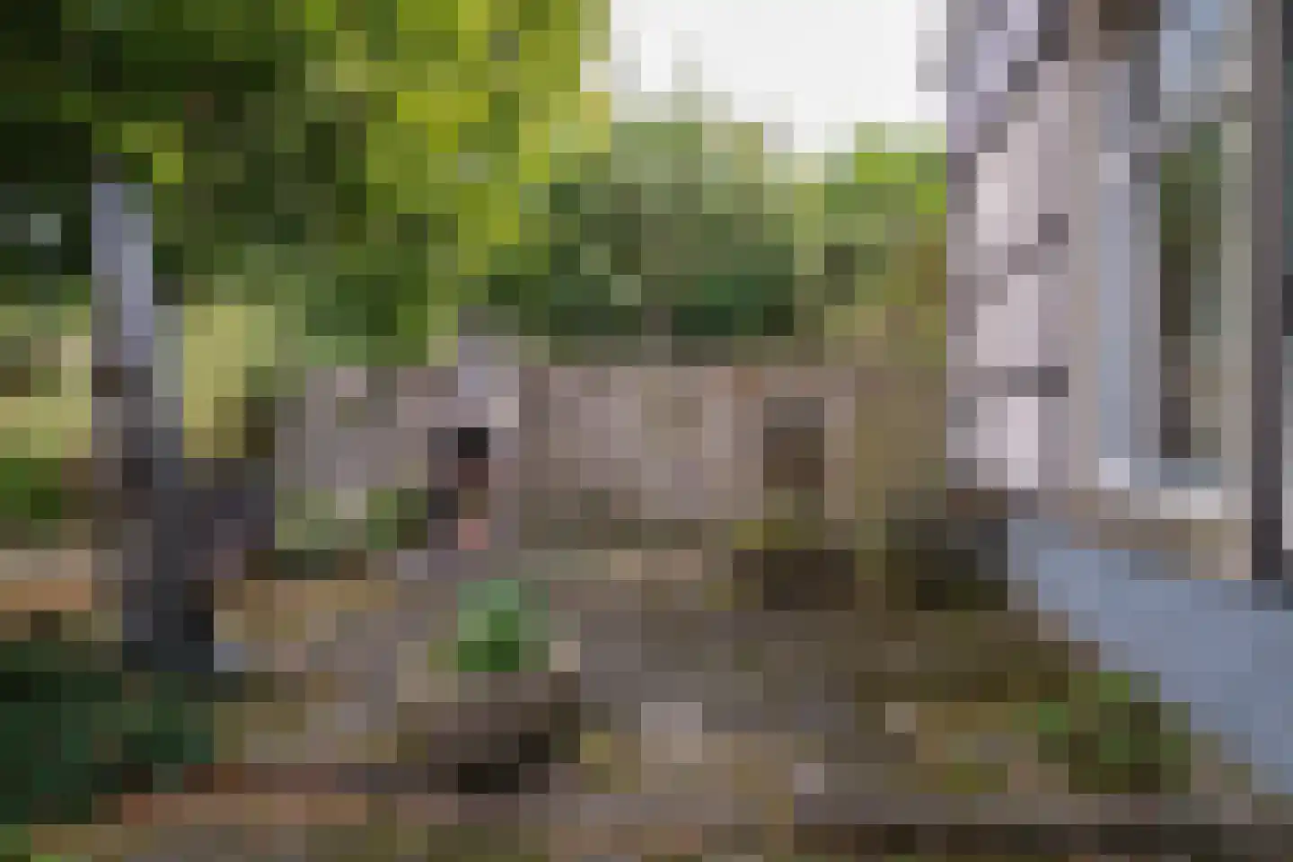 Alsteedseweg 12 Haaksbergen thumbnail 46