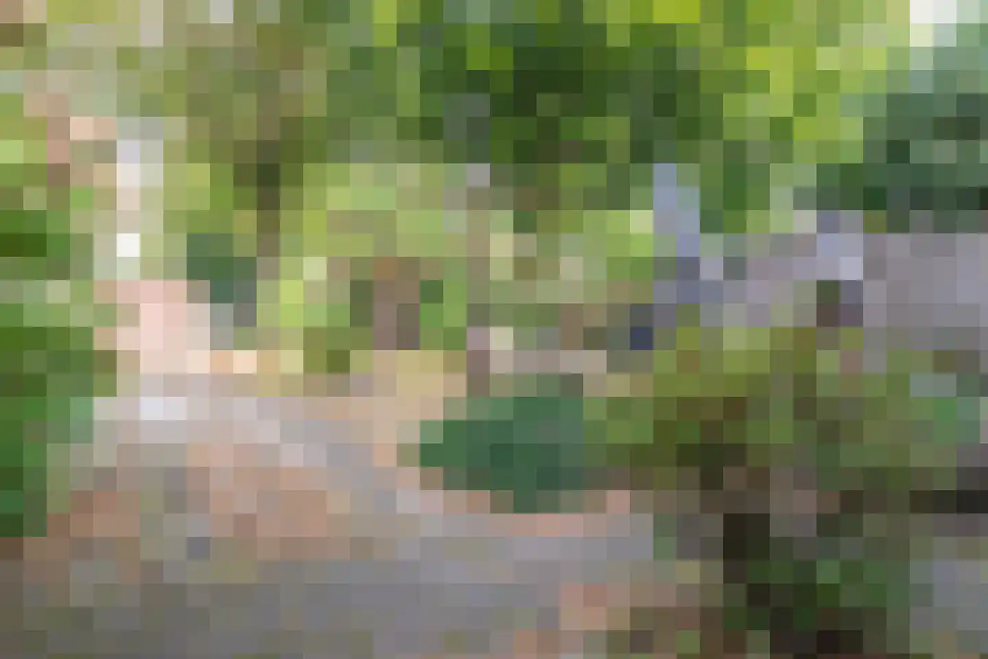Alsteedseweg 12 Haaksbergen thumbnail 47