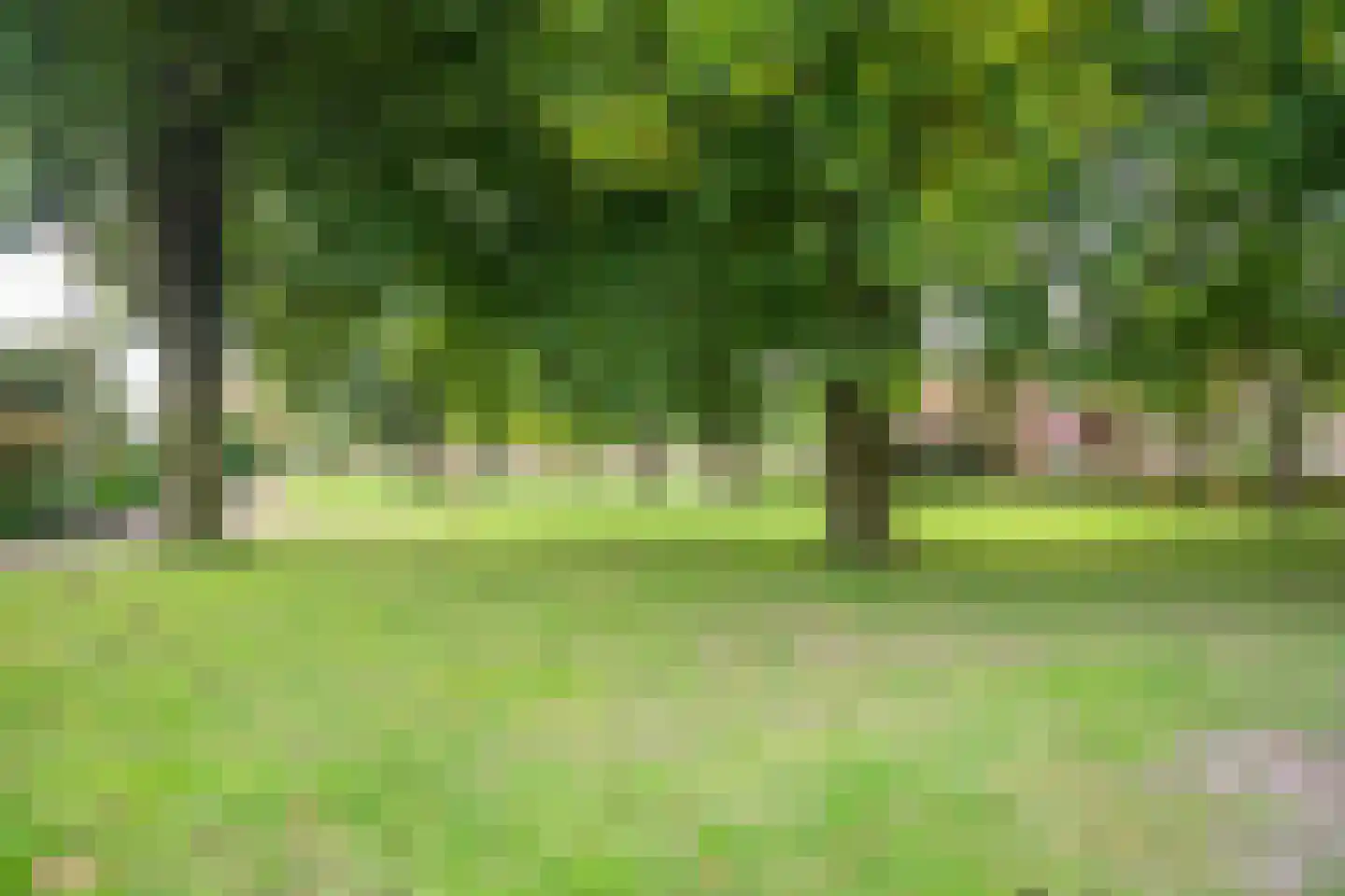 Alsteedseweg 12 Haaksbergen thumbnail 53