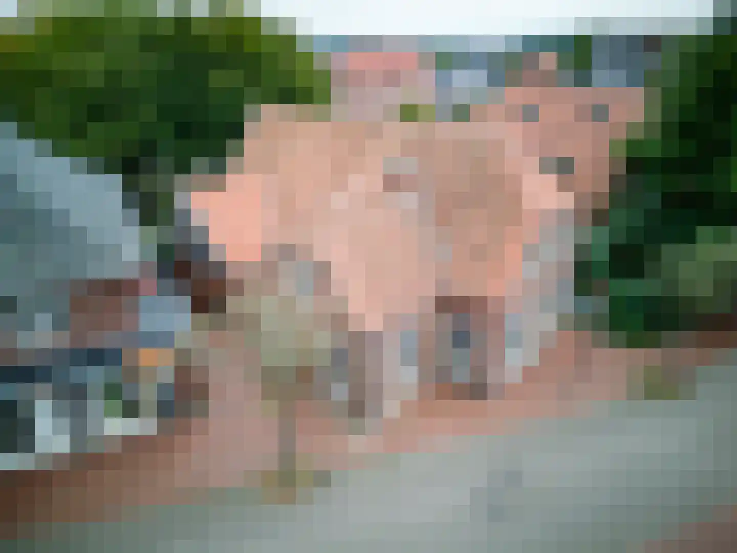 Alsteedseweg 12 Haaksbergen thumbnail 57