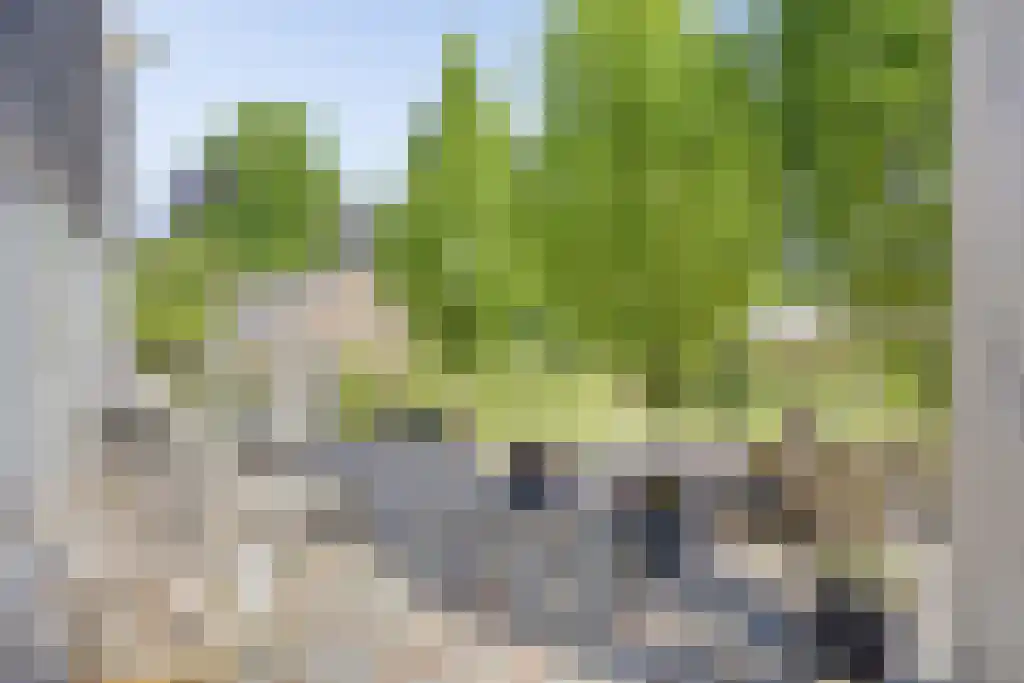Alsteedseweg 16 Haaksbergen thumbnail 24