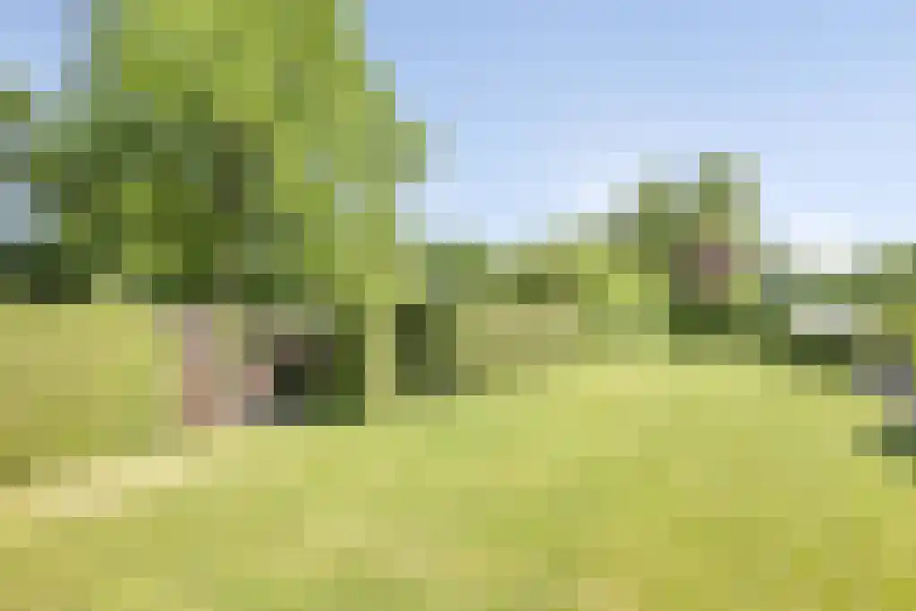 Alsteedseweg 16 Haaksbergen thumbnail 25