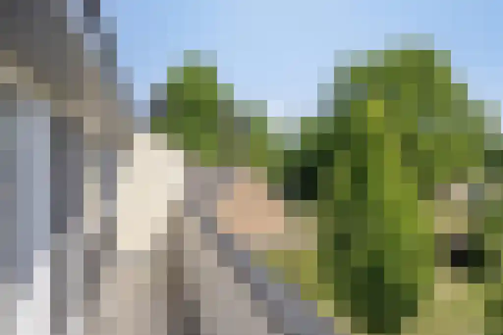 Alsteedseweg 16 Haaksbergen thumbnail 44