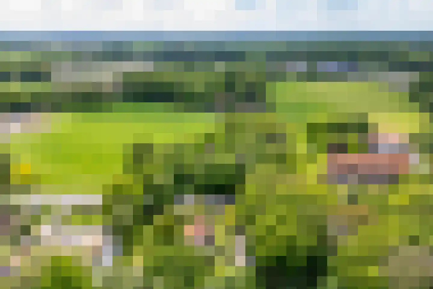 Alsteedseweg 69 Haaksbergen thumbnail 34