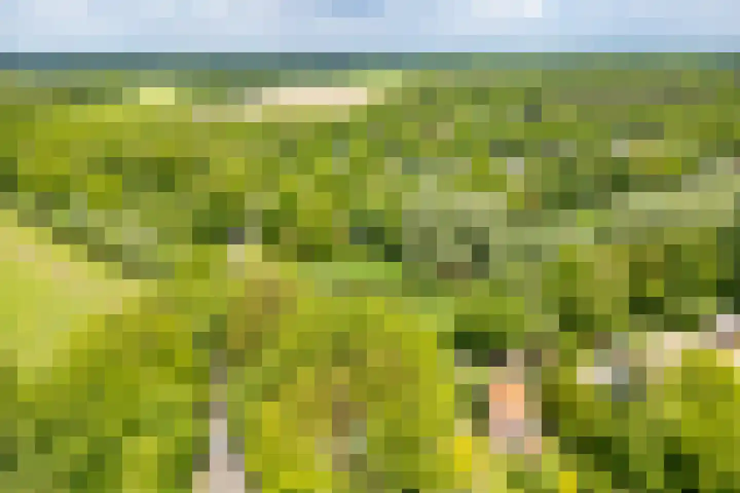 Alsteedseweg 69 Haaksbergen thumbnail 35