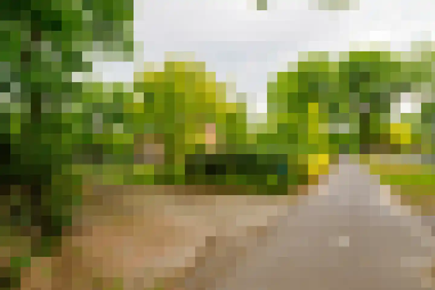 Alsteedseweg 69 Haaksbergen thumbnail 37