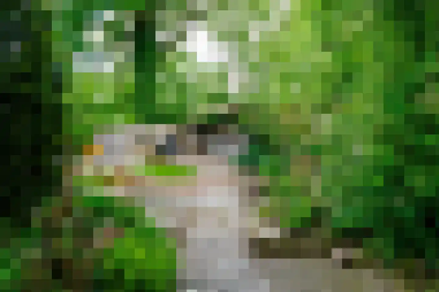 Alsteedseweg 69 Haaksbergen thumbnail 41