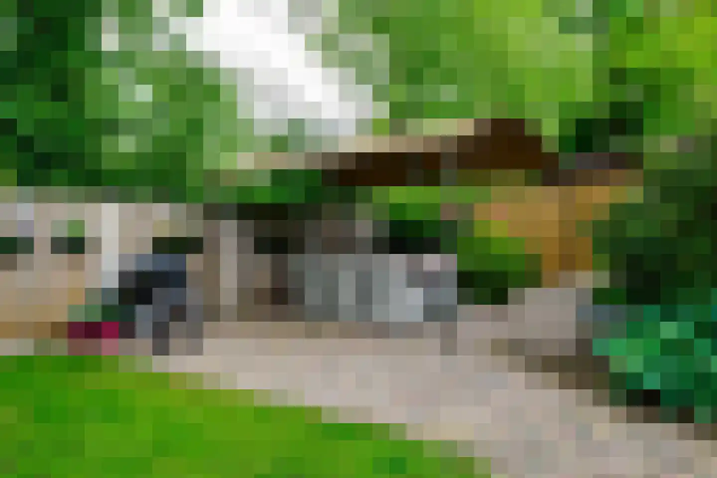 Alsteedseweg 69 Haaksbergen thumbnail 42