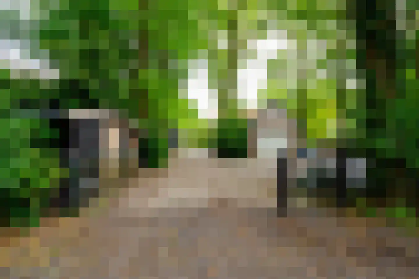 Alsteedseweg 69 Haaksbergen thumbnail 44