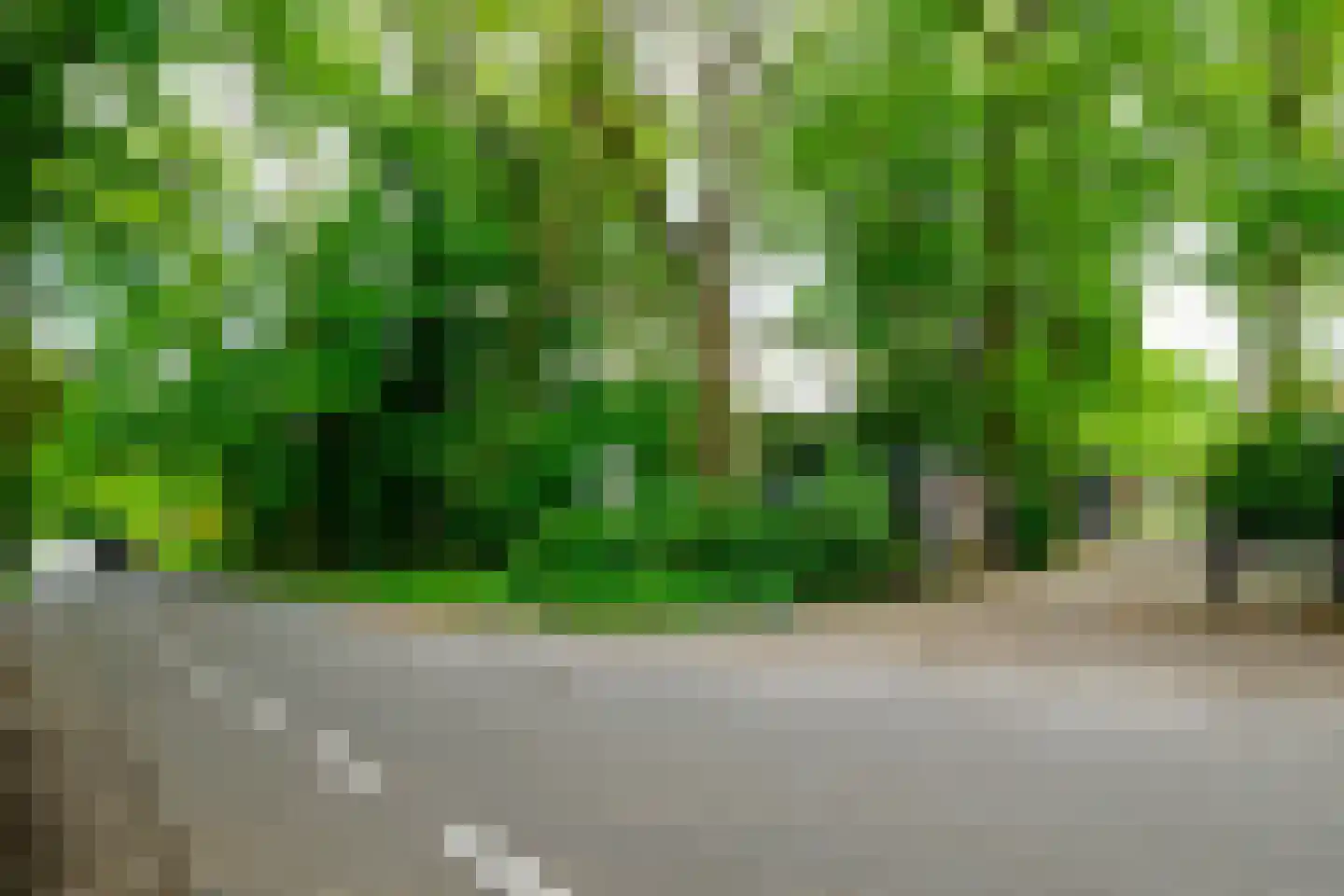 Alsteedseweg 69 Haaksbergen thumbnail 45