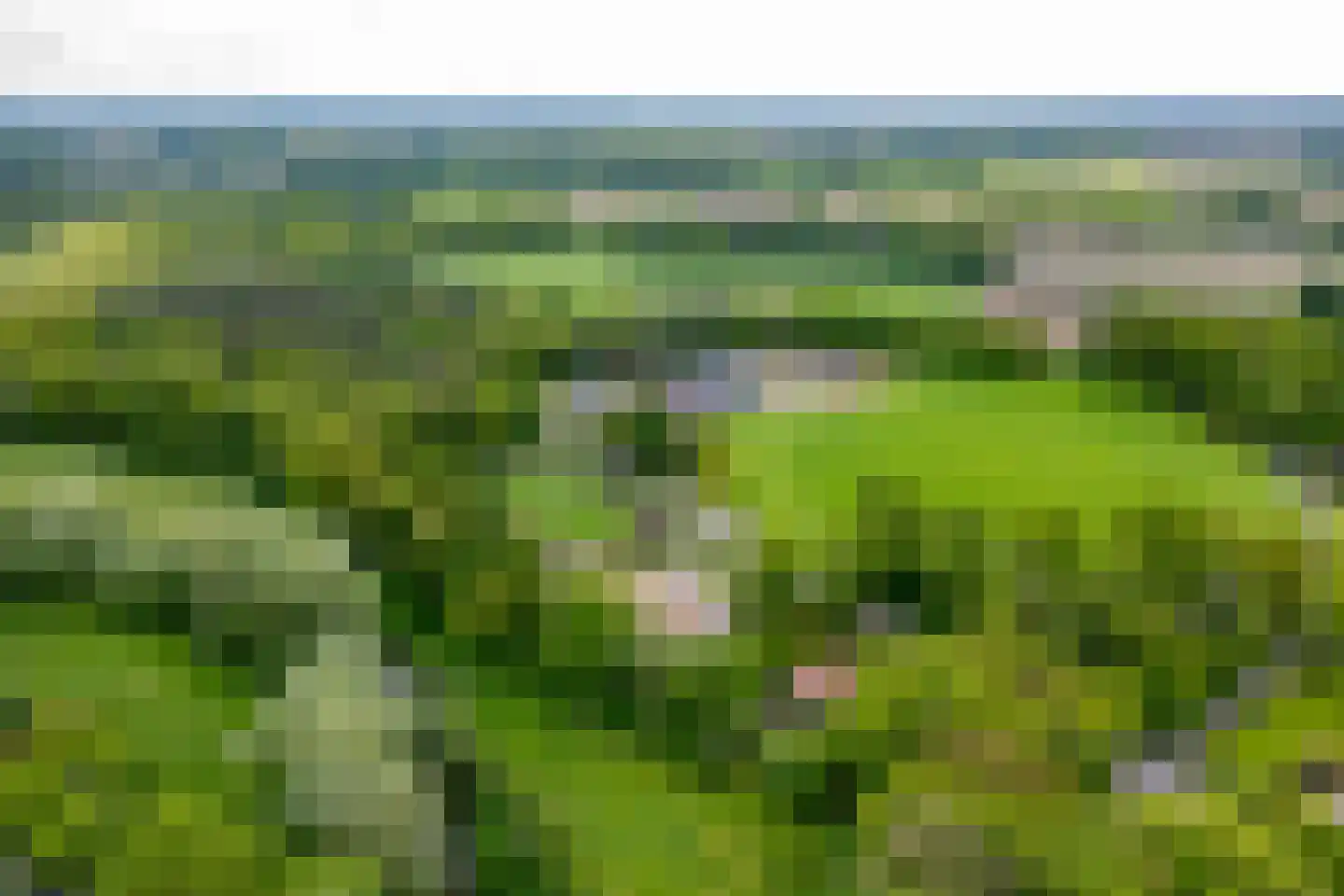 Alsteedseweg 69 Haaksbergen thumbnail 47