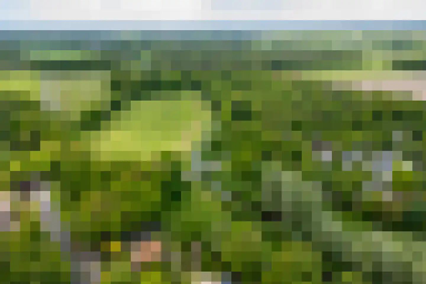 Alsteedseweg 69 Haaksbergen thumbnail 48