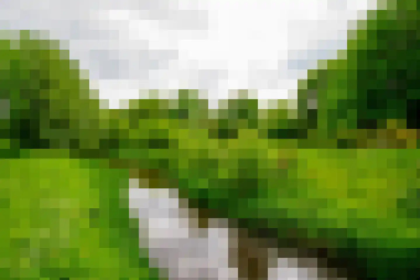 Alsteedseweg 69 Haaksbergen thumbnail 51