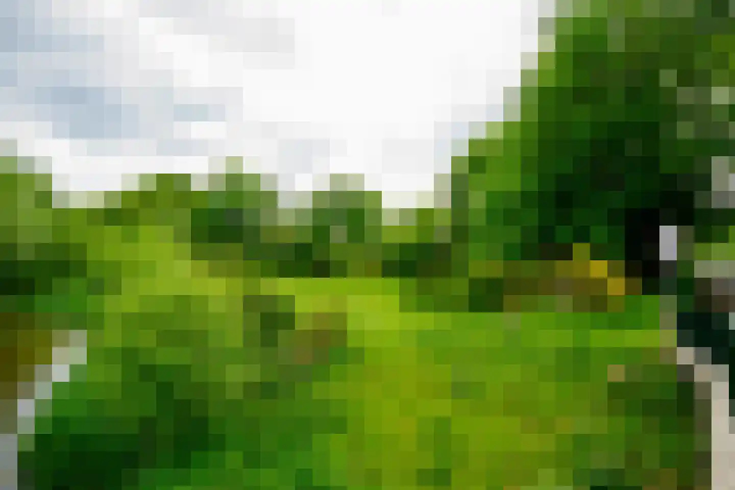 Alsteedseweg 69 Haaksbergen thumbnail 52