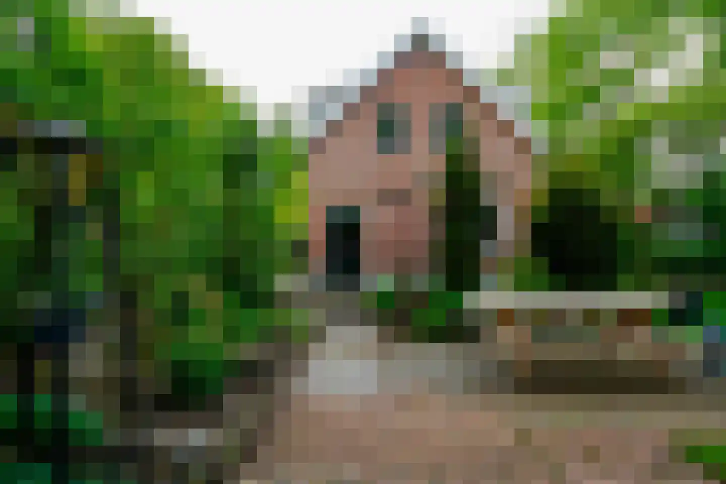 Alsteedseweg 69 Haaksbergen thumbnail 7