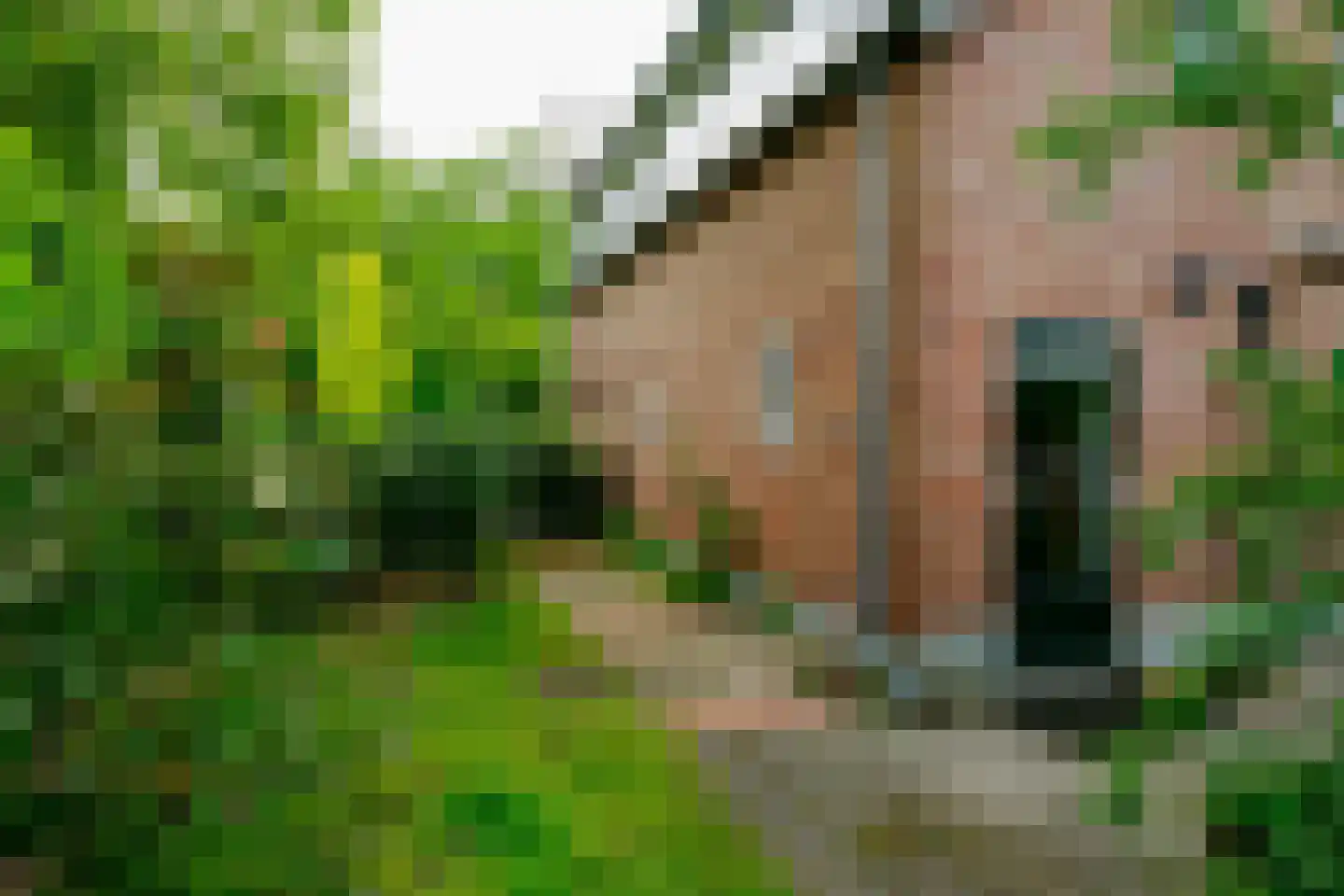 Alsteedseweg 69 Haaksbergen thumbnail 8
