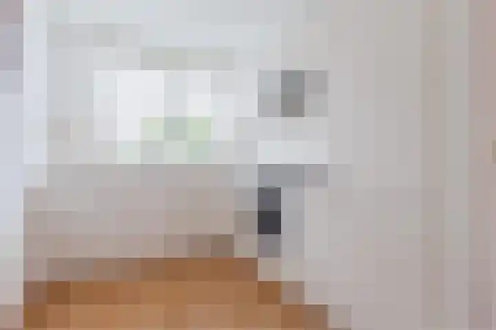 Alstroemeriastraat 11 Wateringen thumbnail 10