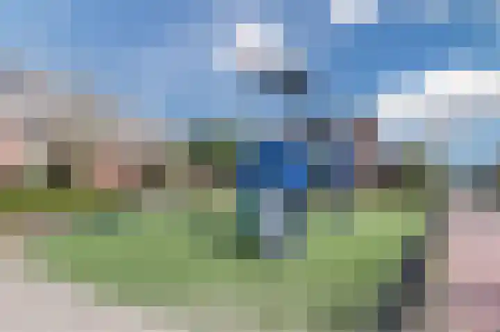Alstroemeriastraat 11 Wateringen thumbnail 35