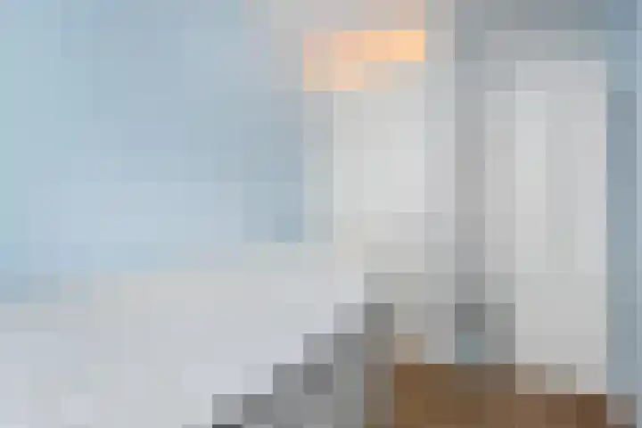 Alstroemeriastraat 14 Wateringen thumbnail 22