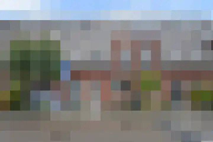 Alstroemeriastraat 14 Wateringen thumbnail 47