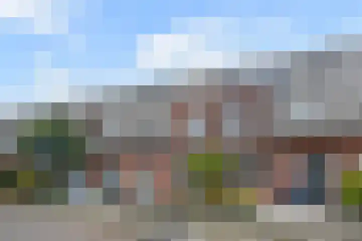 Alstroemeriastraat 14 Wateringen thumbnail 5