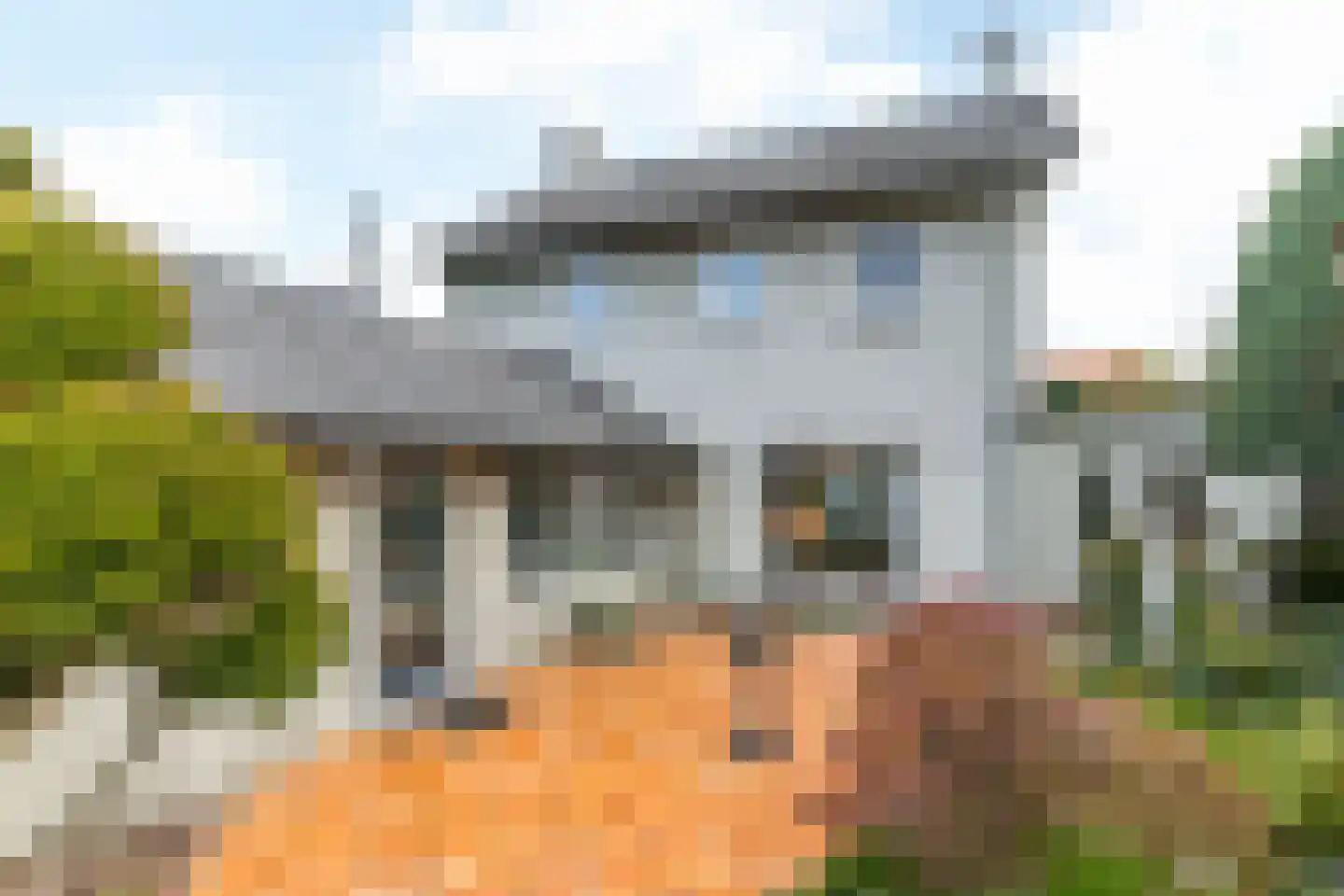 Altaarstraat 22 Oirsbeek thumbnail 48