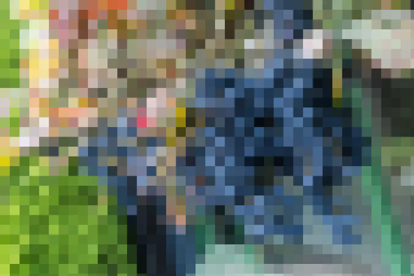 Altaarstraat 22 Oirsbeek thumbnail 52