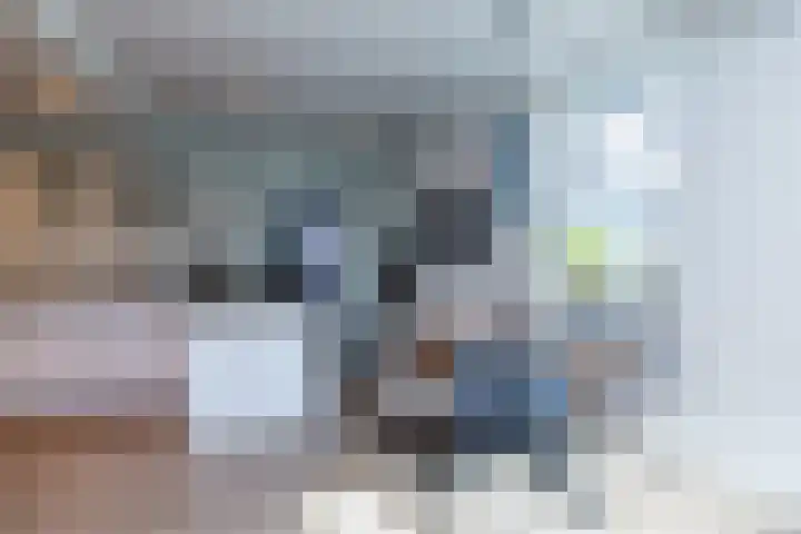 Altaarstraat 91 Schinnen thumbnail 10