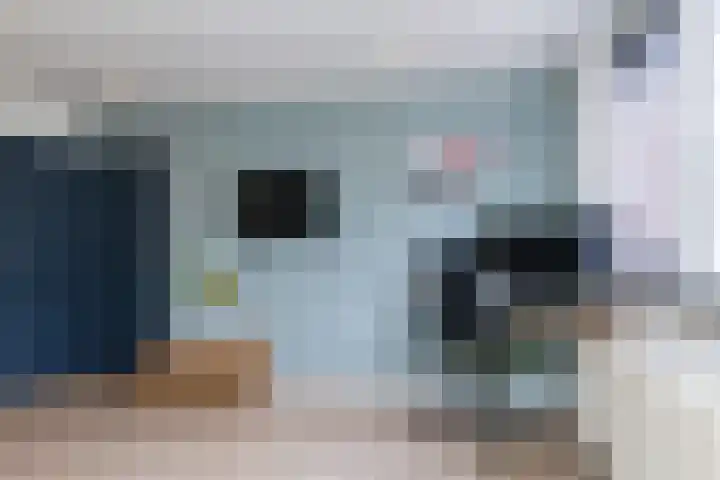 Altaarstraat 91 Schinnen thumbnail 16