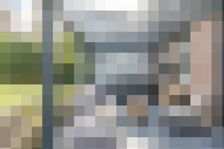 Altaarstraat 91 Schinnen thumbnail 31